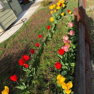 Meet your Posher, Hanh